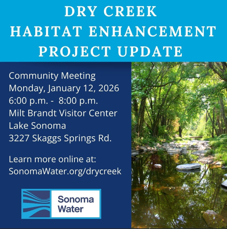 Dry Creek Habitat Enhancement Project Update